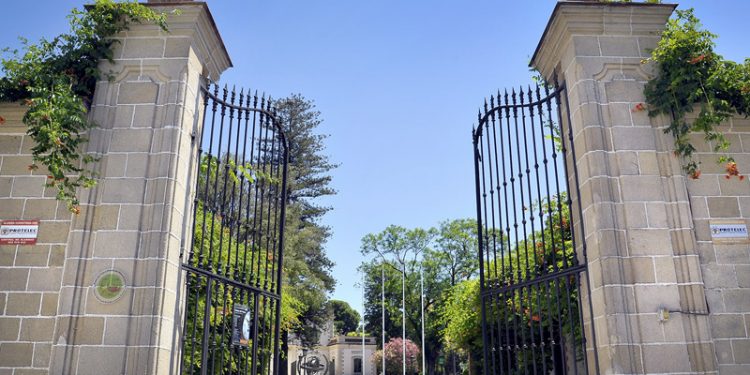 Jornada de puertas abiertas en Los Museos de la Atalaya el martes 28 con motivo del Día Mundial del Árbol