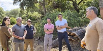 Comienza la campaña de saca de corcho en los Montes de Propio