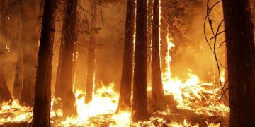 Presentadas más de 77.000 para prohibir fumar en los parques nacionales