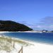 Mata a palos a una gaviota en las Islas Cíes y le puede caer una multa de 3000 €