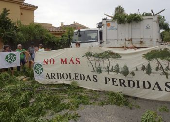 El Puerto de Santa María. Ecologistas paralizan la tala de árboles en El Ancla