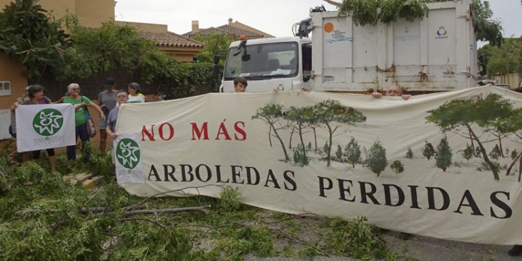 El Puerto de Santa María. Ecologistas paralizan la tala de árboles en El Ancla