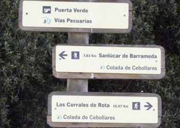 Sentencia judicial condena a la Junta a la recuperación de varias vías pecuarias