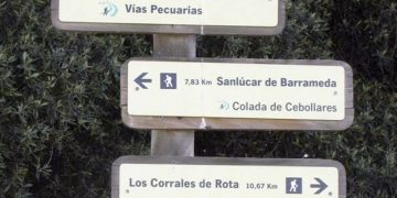 Sentencia judicial condena a la Junta a la recuperación de varias vías pecuarias