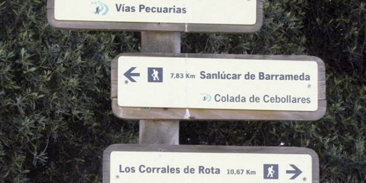 Sentencia judicial condena a la Junta a la recuperación de varias vías pecuarias