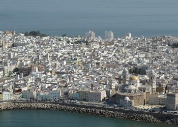 Cádiz instalará 60 cajas nidos en zonas verdes de la ciudad