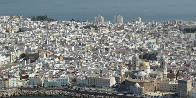 Cádiz instalará 60 cajas nidos en zonas verdes de la ciudad