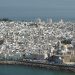 Cádiz instalará 60 cajas nidos en zonas verdes de la ciudad