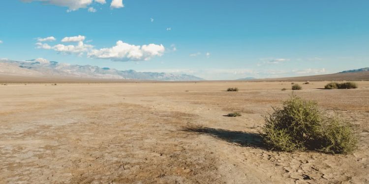 Europa vive el segundo verano más cálido y seco de toda su historia
