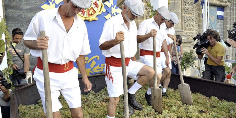 La Pisa de la Uva regresa al reducto de la Catedral tras dos años en la Alameda Vieja