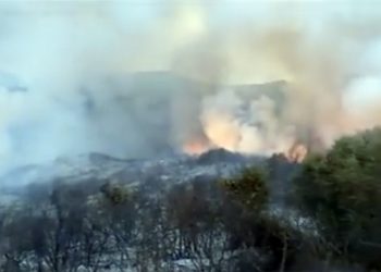Desactivado el nivel 1 del Plan Infoca por el incendio forestal de Algeciras