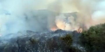 Desactivado el nivel 1 del Plan Infoca por el incendio forestal de Algeciras